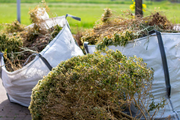 Reliable Mosheim, TN Junk Removal Services Solutions