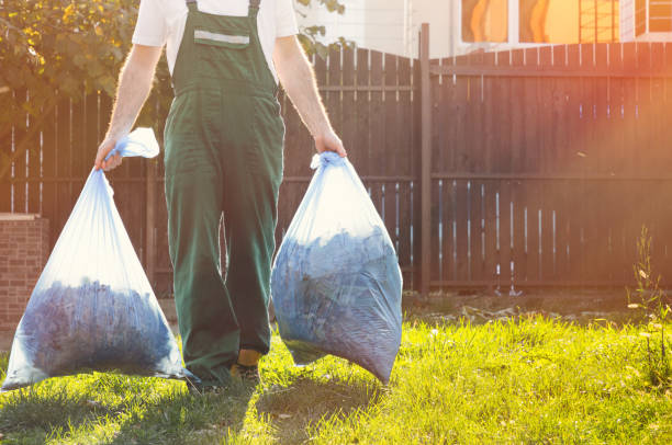 Best Basement Cleanout  in Mosheim, TN