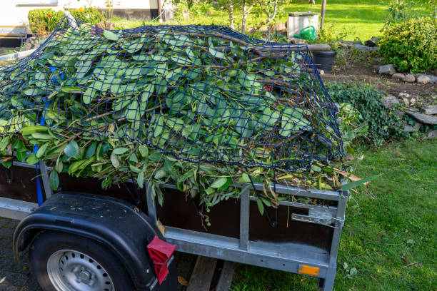 Best Hoarding Cleanup  in Mosheim, TN